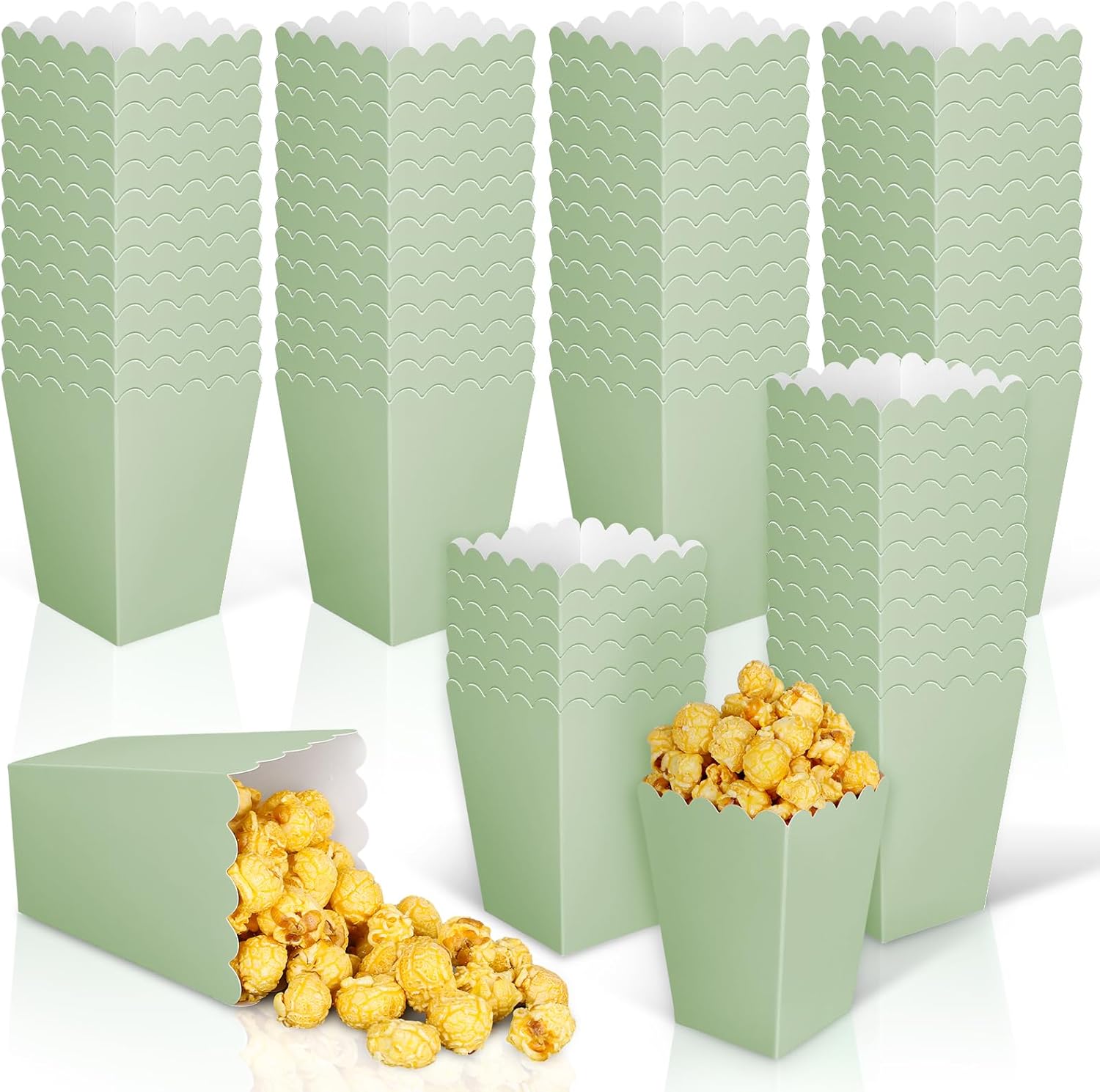 12 pcs  Sage Green Mini Popcor - مراجعة Wedding Favor Box وسعره